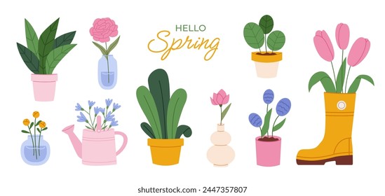 Collection of spring flowers and plants in variety pots and vases. Spring plants. Flat vector illustration isolated on white background.