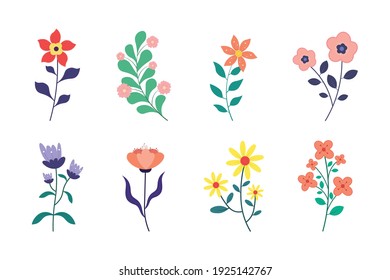 Collection of spring flowers vector illustration.