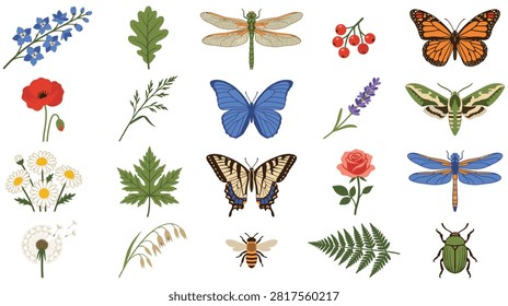 Collection of spring nature elements featuring butterflies dragonflies various wildflowers garden leaves and berries vector illustration set for design.
