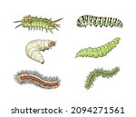 Collection of spring and summer colorful caterpillars. Pretty caterpillars different silhouette isolated. For festive card, banner, children, pattern, tattoo, decorative, Vector illustration