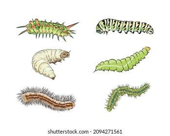 Collection of spring and summer colorful caterpillars. Pretty caterpillars different silhouette isolated. For festive card, banner, children, pattern, tattoo, decorative, Vector illustration