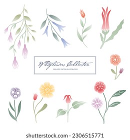 Collection of spring wildflower illustration. Isolated vector artwork. Gradient colors. Floral graphic element. 