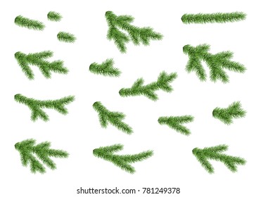 Collection of spruce branch isolated on white background. Green fir. Realistic Christmas tree. Vector illustration for Xmas cards.