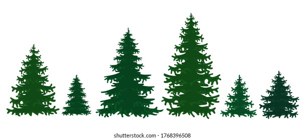 Collection of spruce trees isolated on a white background. Vector illustration of a pine tree in cartoon style.