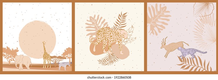 Collection of square background with African wild animals, plants, leaves, abstract landscape and shape. Editable vector illustration