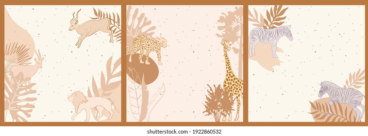 Collection of square background with African wild animals, plants, leaves, abstract landscape and shape. Editable vector illustration