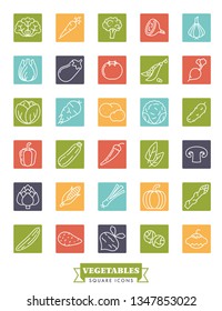 Collection of square vegetables line icons vector illustration