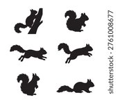 Collection of squirrel silhouettes set