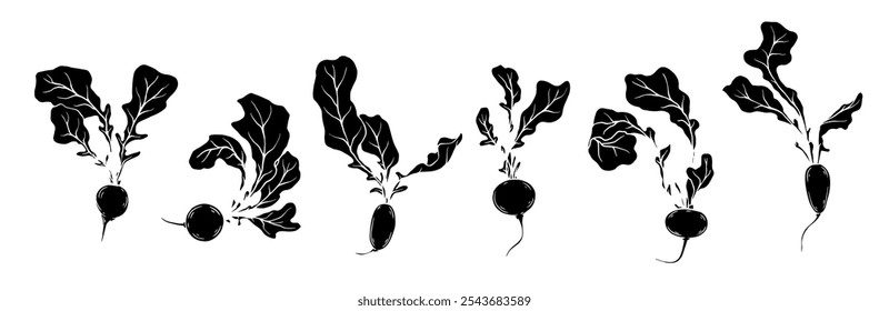 Collection of stamps, vegetable silhouettes, radish root. Vector graphics.
