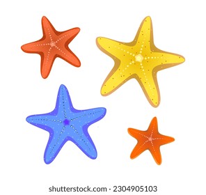 Collection of starfish on various color