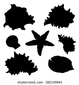 Collection of starfish and seashells  silhouette. Vector isolated illustration with outline on white background.