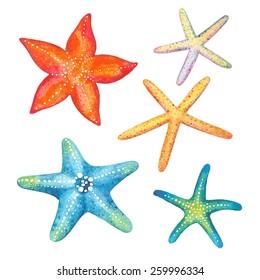 Collection of starfish watercolor, vector illustration.