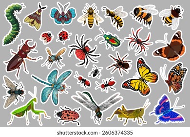 Collection of stickers with insects.Vector set of stickers and decals with colorful insects and butterflies.