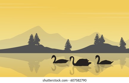 Collection stock of swan on lake silhouettes