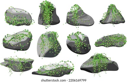 Collection of stones and plants of various shapes.Coastal pebbles,cobblestones,gravel,minerals and geological formations.Rock fragments,boulders and building material.Vector illustration .