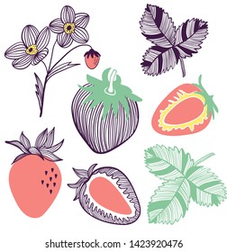 Collection of strawberries. Fruit, flower, leaf and piece of strawberry. Vector hand drawn illustration set in modern trendy flat style for web, print posters and wallpapers