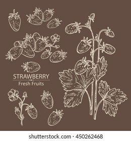 Collection of  strawberries. hand drawn