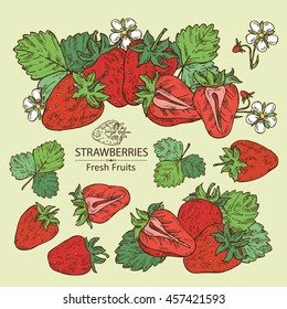 Collection of strawberries. hand drawn
