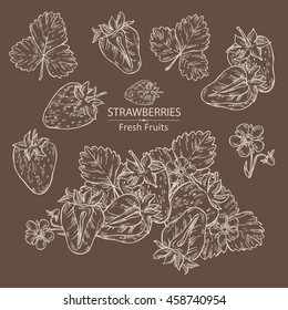 Collection of strawberries. hand drawn