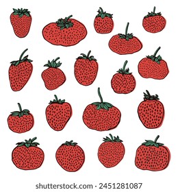 a collection of strawberries illustration