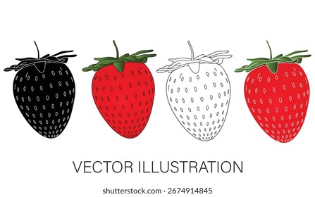 Una Colección de fresas - Ilustraciones vectoriales aisladas para el Diseño gráfico
