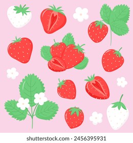 Collection of strawberries. Strawberry bushes and berries. Set of vector illustrations for package, print, flyer