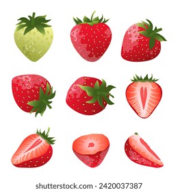 Collection of strawberry slices and whole fruits. Flat vector strawberry from different sides.	