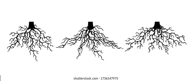 Collection strong plant roots silhouette. Abstract felled tree with root. Tree with lush root