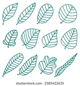 Collection of stylish hand drawn leaf illustration perfect for botanical-themed artwork and design applications.