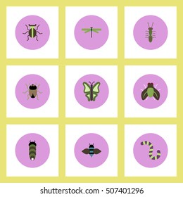 Collection of stylish vector icons in colorful circles insects