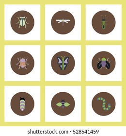 Collection of stylish vector icons in colorful circles insects