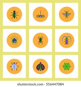 Collection of stylish vector icons in colorful circles insects
