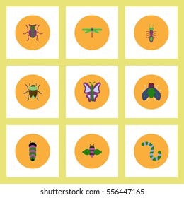 Collection of stylish vector icons in colorful circles insects