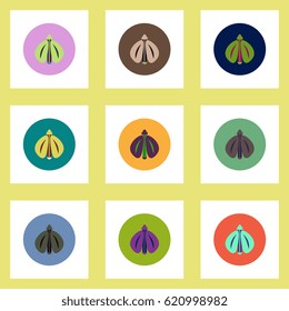 Collection of stylish vector icons in colorful circles flying beetle