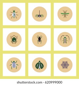 Collection of stylish vector icons in colorful circles insects