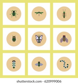 Collection of stylish vector icons in colorful circles insects