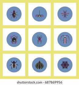 Collection of stylish vector icons in colorful circles insects