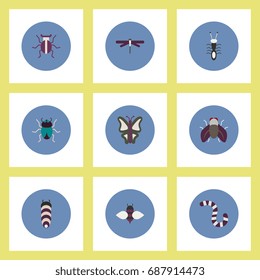 Collection of stylish vector icons in colorful circles insects
