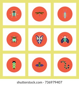 Collection of stylish vector icons in colorful circles insects