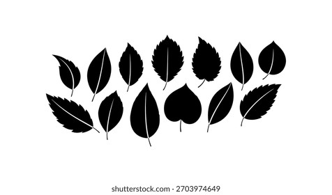 A collection of stylized black leaf silhouettes with visible veins, arranged in a scattered pattern on a white background.
