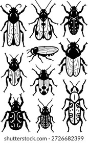 Una colección de ilustraciones estilizadas de escarabajos e insectos en blanco y negro con una estética de Arte vectorial rústica dibujada a mano