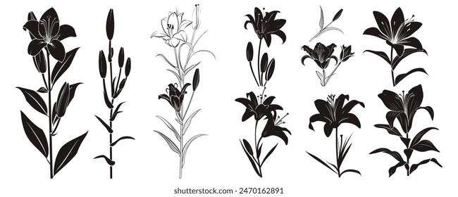 Eine Kollektion stilisierter Schwarz-Weiß-Illustrationen von Blumen. Dies scheinen eher künstlerische Darstellungen zu sein als wissenschaftlich korrekte botanische Abbildungen. Die Blumen sind in 