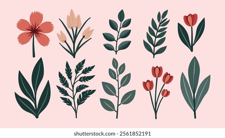 A collection of stylized botanical illustrations featuring various types of leaves and berries. 