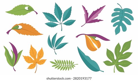 Collection of stylized botanical vector leaf illustrations featuring diverse shapes, stipule variations, serrated edges, and lobed structures in green, teal, orange, and purple tones.