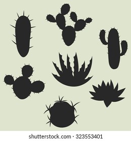 Collection of stylized cactuses and plants. Natural illustration.