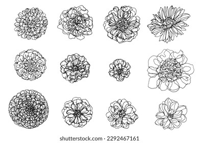 Collection of stylized flowers drawing graphic elements, ink sketching floral shapes, botanical outline drawing, Blooming flowers doodle icon isolated on background, hand doodle flowers contour lines