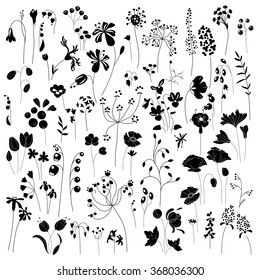 Collection of stylized herbs and plants.  Black and white silhouette. Pattern for your design, romantic greeting cards, announcements, posters.