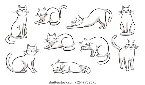 Collection of stylized line art illustrations showcasing diverse feline poses and expressions