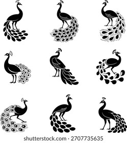 A collection of stylized peacock illustrations in silhouette featuring unique tail feather designs in black and white vector format