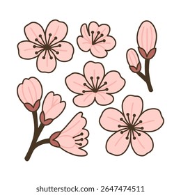 Uma coleção de flores e botões de cereja rosa estilizados, mostrados em várias fases de flor, contra um fundo branco.